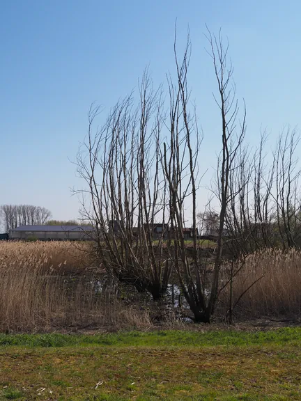 Kalkense Meersen (België)